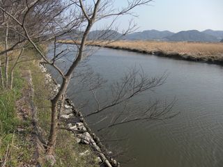 画像 003 画像 003