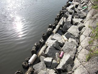 画像 005 画像 005